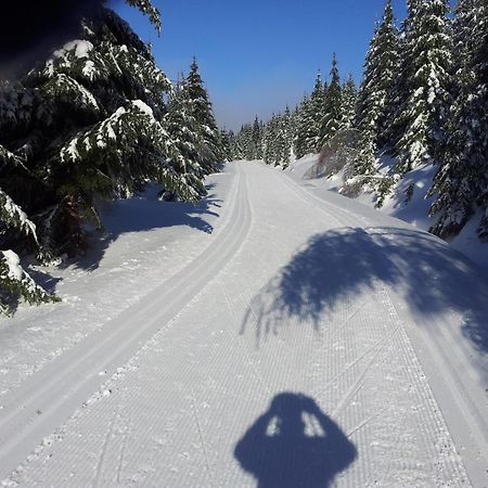 Na Slunecni Pohadkova Chaloupka Ve Sladke Dire Příchovice Exterior foto