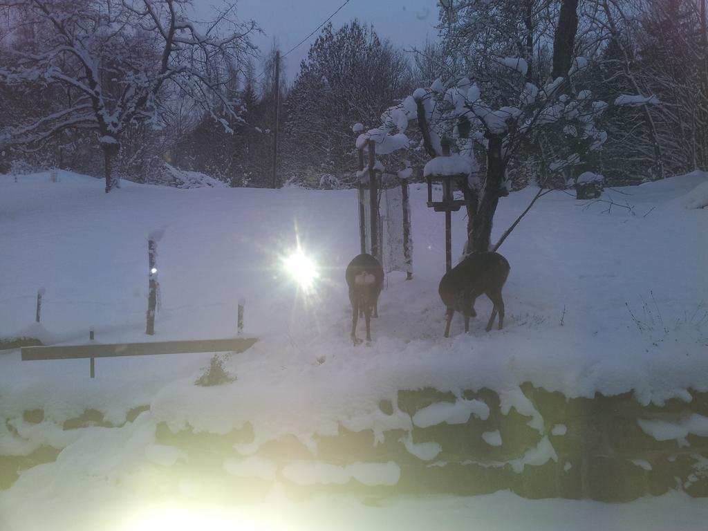 Na Slunecni Pohadkova Chaloupka Ve Sladke Dire Příchovice Exterior foto