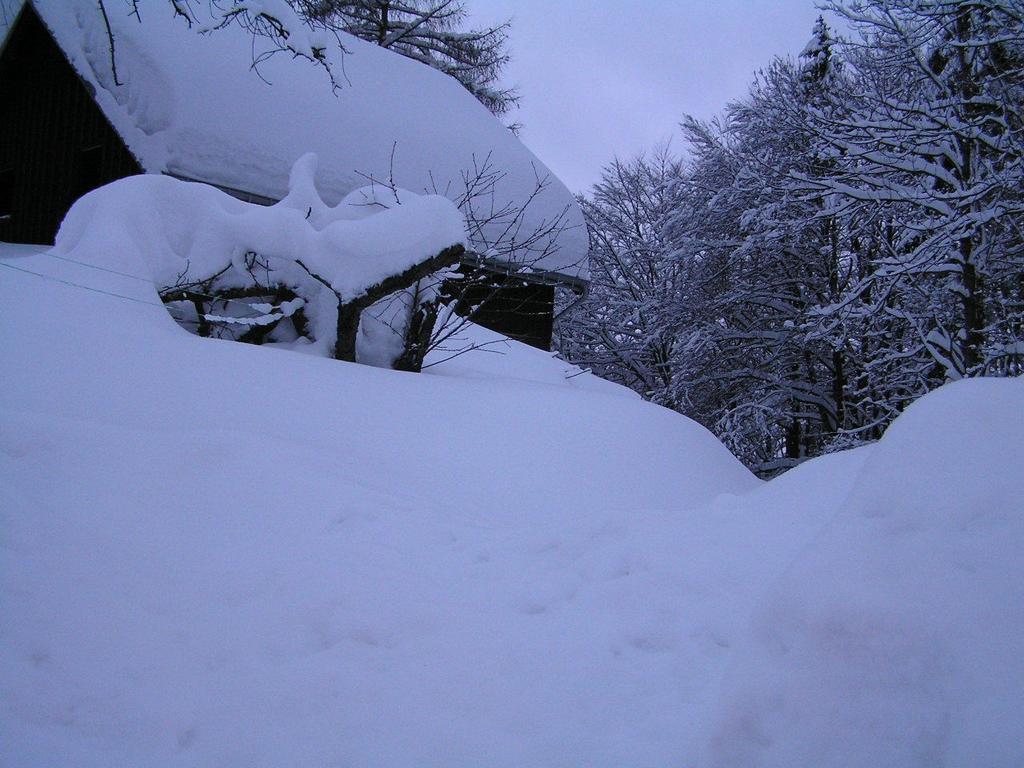 Na Slunecni Pohadkova Chaloupka Ve Sladke Dire Příchovice Exterior foto