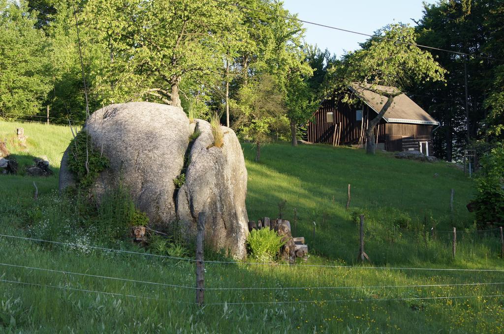Na Slunecni Pohadkova Chaloupka Ve Sladke Dire Příchovice Exterior foto